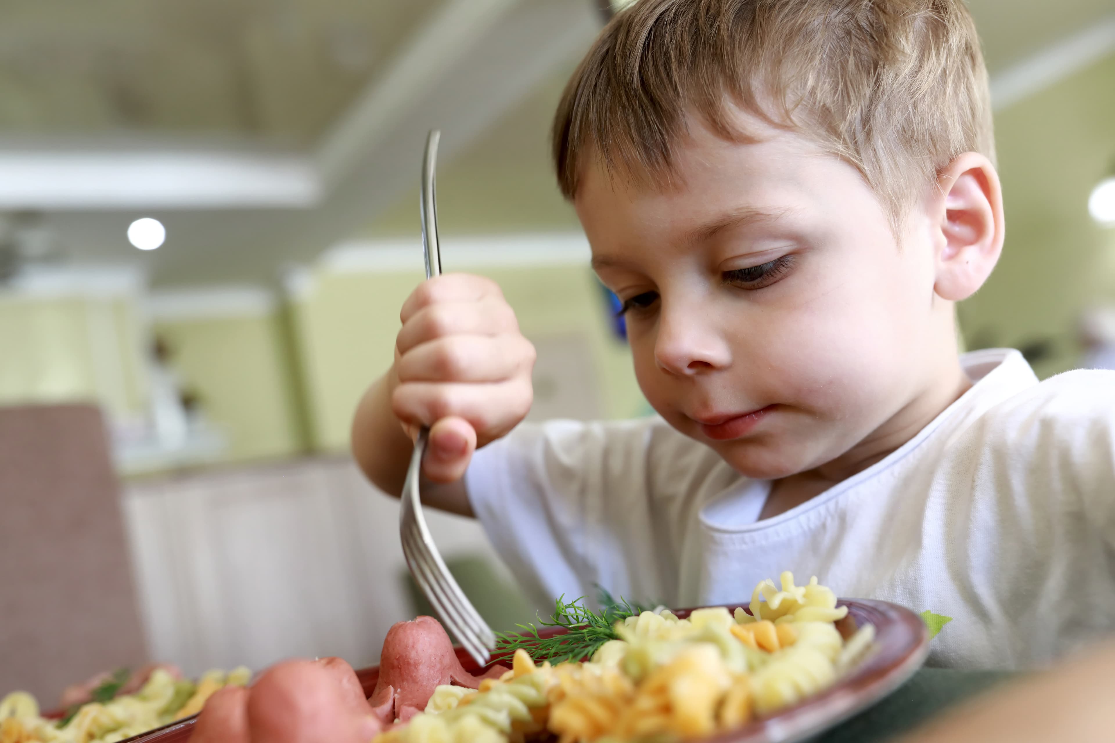 Fight Hunger in Wisconsin